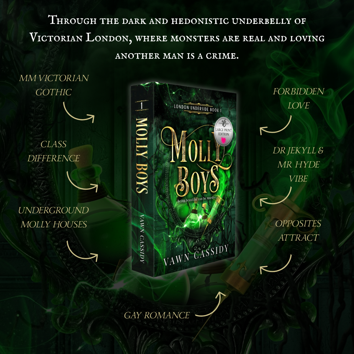 Molly Boys Large Print Print Book by Vawn Cassidy Tropes Graphic
