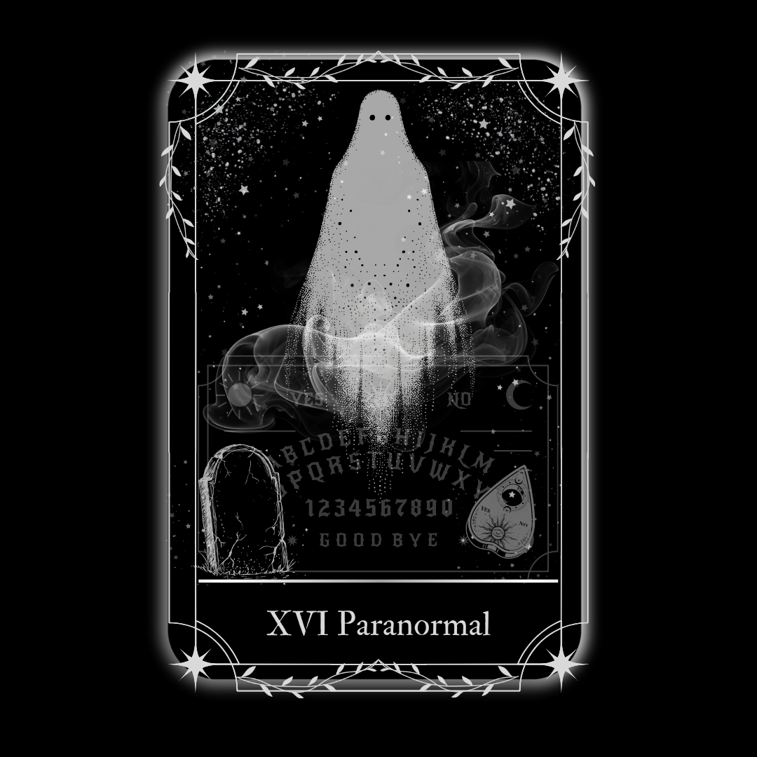 Vawn Cassidy MM Author Paranormal Romantic Comedy