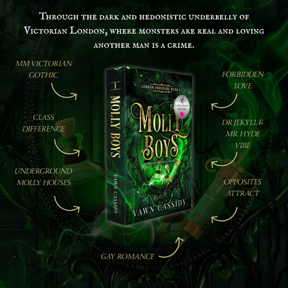 Molly Boys Large Print Print Book by Vawn Cassidy Tropes Graphic